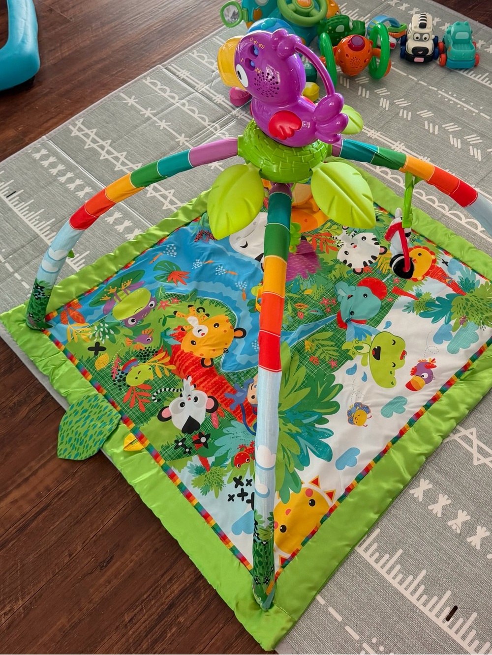 Fisher Price RETIRED HTF Rainforest play mat with musical tucan